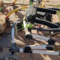 carrelli x bambini disabili