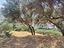 Immagine 23