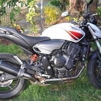 Special Carbon Roadsitalia Suzuki Gladius 650