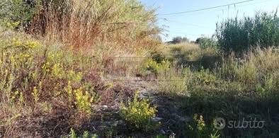 Terreno con progetto approvato - Vista 3