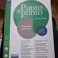 punto per punto