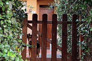 Intero alloggio capalbio periodo INVERNALE