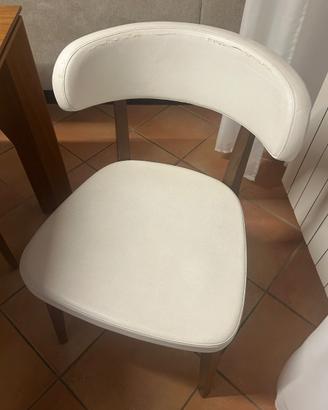 N.6 Sedie Connubia Calligaris ecopelle/legno noce
