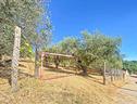 ter-agricolo-a-canale-monterano