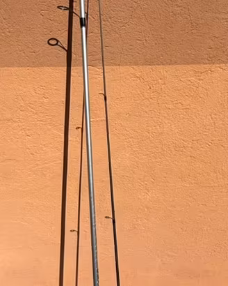 Canna da pesca