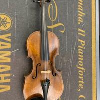 Violino 1800-1900