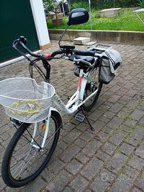 Bici elettrica