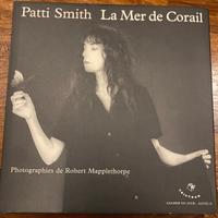 libro Patti Smith