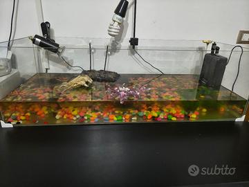  acquario 100l + accessori 