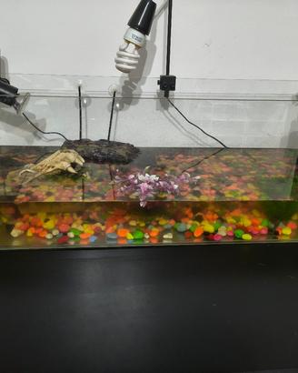  acquario 100l + accessori 