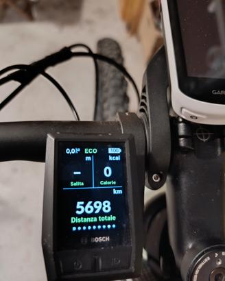 E-BIKE FOCUS TG L 
