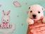 Immagine 5
