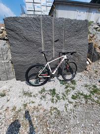 S-Works Stumpjumper 29 Taglia L