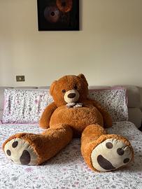 Orso gigante