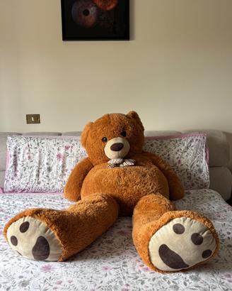 Orso gigante