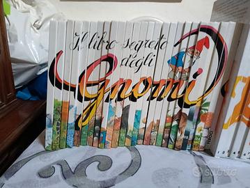 IL LIBRO SEGRETO DEGLI GNOMI