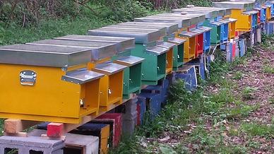 Arnie da 12 telaini con  melari