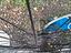 Immagine 5