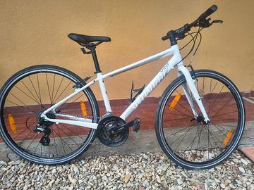 bicicletta specialized Vita