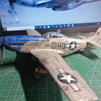 Caccia USA 1:48 P51D Mustang