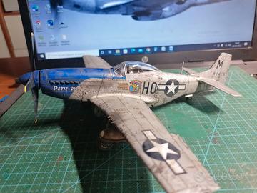 Caccia USA 1:48 P51D Mustang