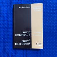 Diritto delle società Campobasso 2