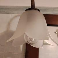 Due lampade da parete a corolla