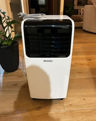 Climatizzatore portatile