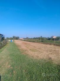 Terreno agricolo a Massarosa