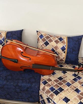 Violoncelli 3/4