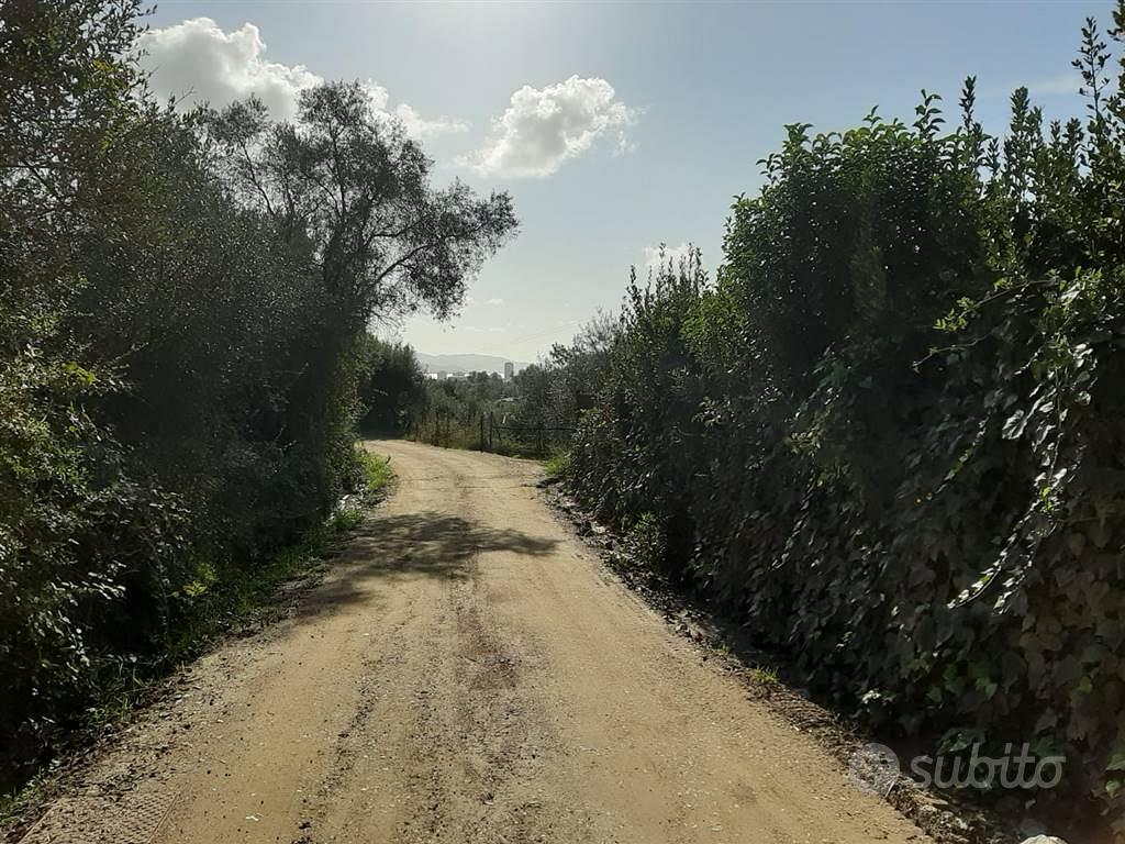 Rif.AA-T32| terreno agricolo follonica - Vista 6