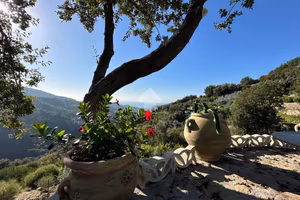 TER. AGRICOLO A VALLEBONA