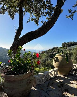 TER. AGRICOLO A VALLEBONA