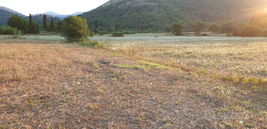 Pastena (fr) terreno agricolo circa 1ettaro+Pozzo