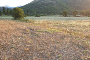 Pastena (fr) terreno agricolo circa 1ettaro+Pozzo