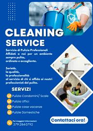 Addetta alle pulizie