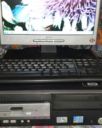 pc Nek