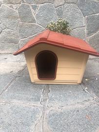 Cuccia cane