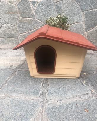 Cuccia cane