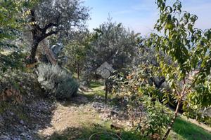 TER. RESIDENZIALE A POGGIO CATINO