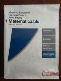 Matematica blu 1