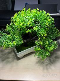 Bonsai artificiale decorativo in vaso