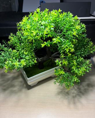 Bonsai artificiale decorativo in vaso