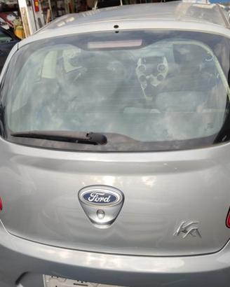 Portellone nudo FORD KA del 2009