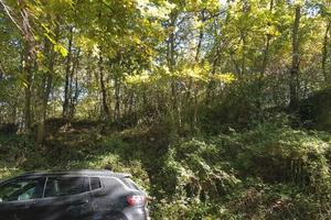 Terreno boschivo agricolo Mq 3.755