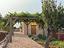 Immagine 4