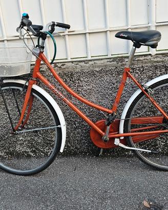 Bicicletta Sala da città