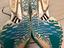 Immagine 2