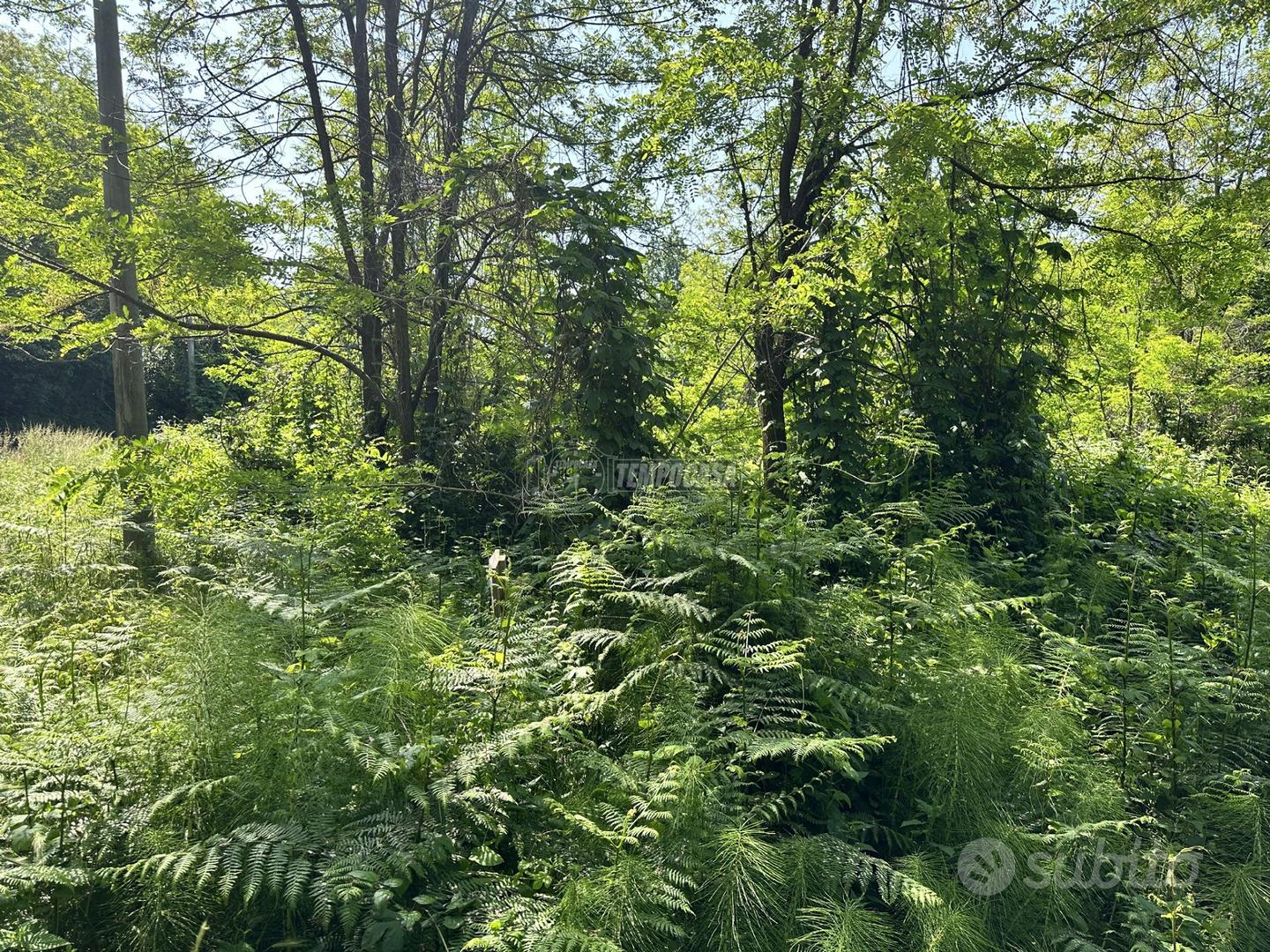 Terreno destinato ai servizi pubblici o alle attre - Vista 3