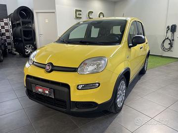 FIAT Panda 1.0 FireFly S&S Hybrid Pandina